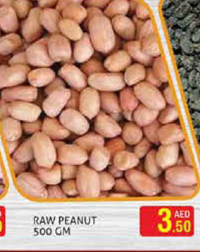 available at Palm Hypermarket Muhaisina LLC in UAE - Dubai