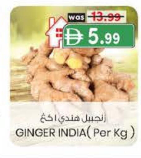 زنجبيل from India available at ك. الم. للتجارة in الإمارات العربية المتحدة , الامارات - أبو ظبي
