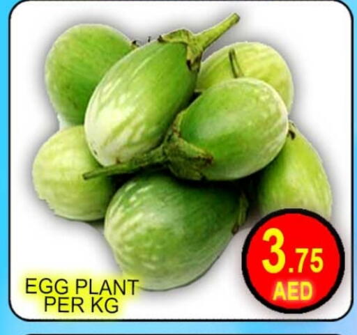 available at Green Gift Department Store in UAE - Dubai