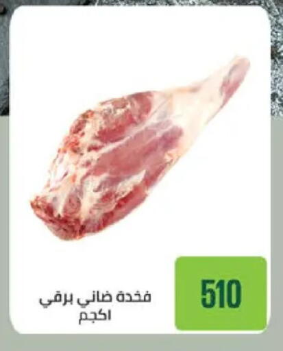 available at سعودي سوبرماركت in Egypt - القاهرة