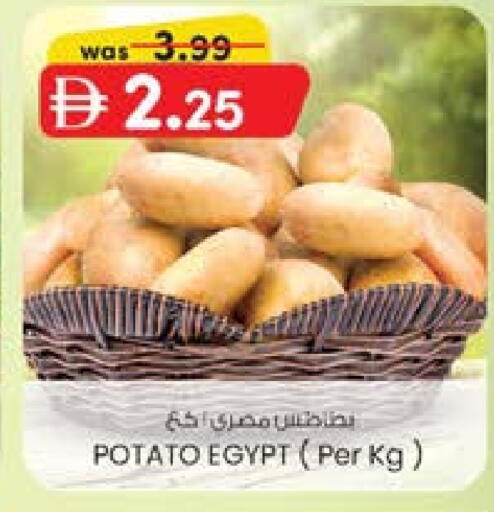 Potato from Egypt available at K M Trading  in UAE - Dubai