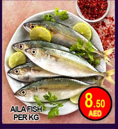 available at Green Gift Department Store in UAE - Dubai