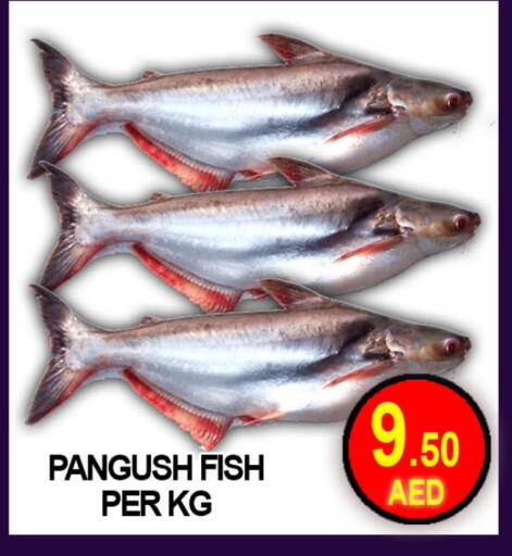 available at Green Gift Department Store in UAE - Dubai