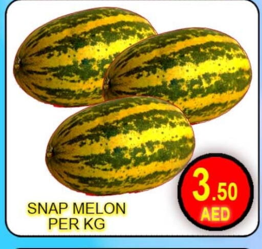Melon available at جرين جيفت متجر أقسام in الإمارات العربية المتحدة , الامارات - دبي