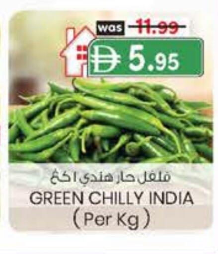 فلفل / فليفلة from India available at ك. الم. للتجارة in الإمارات العربية المتحدة , الامارات - أبو ظبي