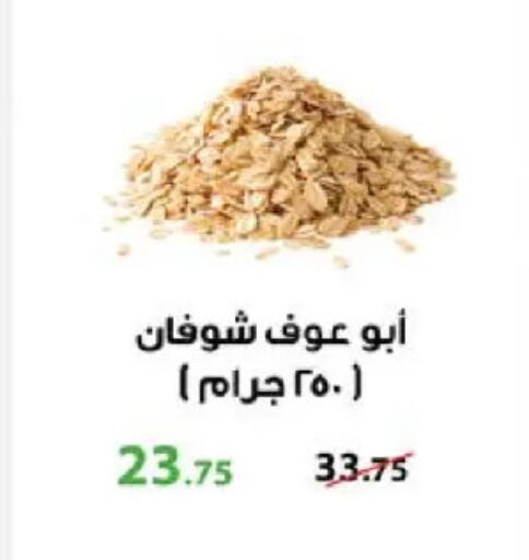 Oats available at Seoudi Supermarket in Egypt - Cairo