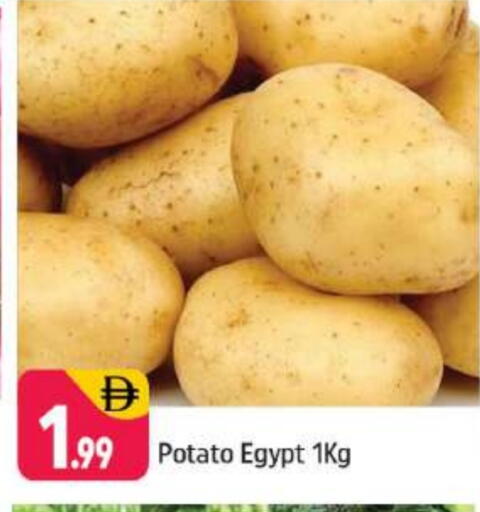 Potato from Egypt available at Shaklan  in UAE - Dubai