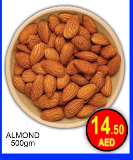 available at جرين جيفت متجر أقسام in الإمارات العربية المتحدة , الامارات - دبي