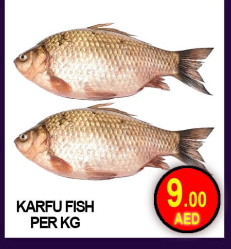 available at Green Gift Department Store in UAE - Dubai