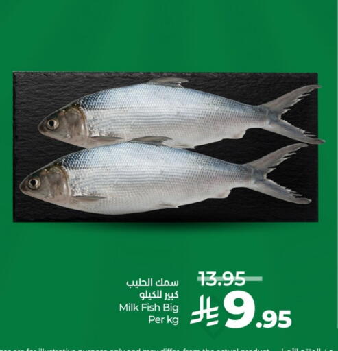 available at LULU Hypermarket in KSA, Saudi Arabia, Saudi - Tabuk