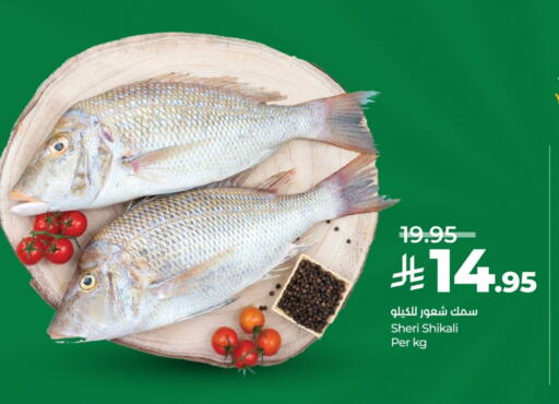 available at LULU Hypermarket in KSA, Saudi Arabia, Saudi - Tabuk