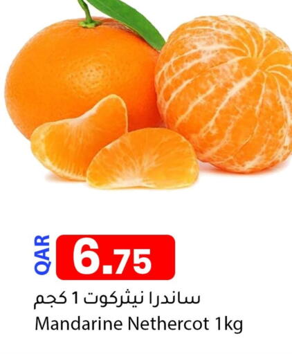 available at دانا ماركت in قطر - الشمال