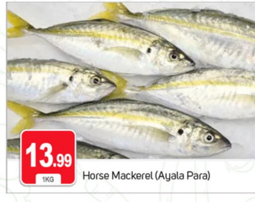 available at سوق طلال in الإمارات العربية المتحدة , الامارات - دبي