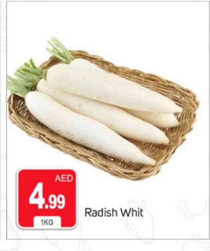 Radish available at سوق طلال in الإمارات العربية المتحدة , الامارات - دبي