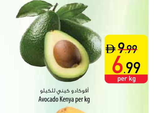 Avacado from Kenya available at Safeer Market in UAE - Dubai