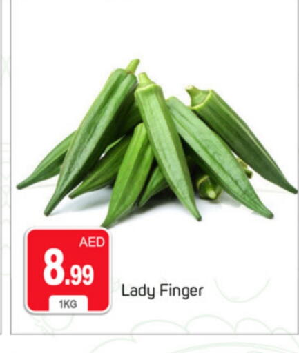 available at سوق طلال in الإمارات العربية المتحدة , الامارات - دبي