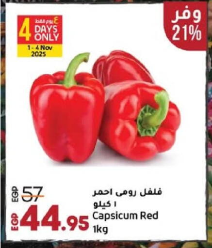Capsicum available at لولو هايبرماركت in Egypt