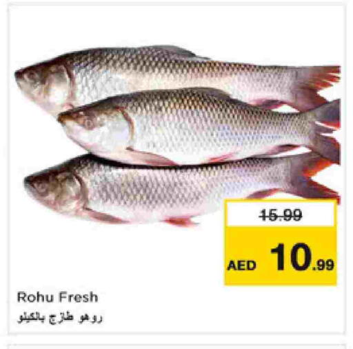 available at Nesto Hypermarket in UAE - Dubai