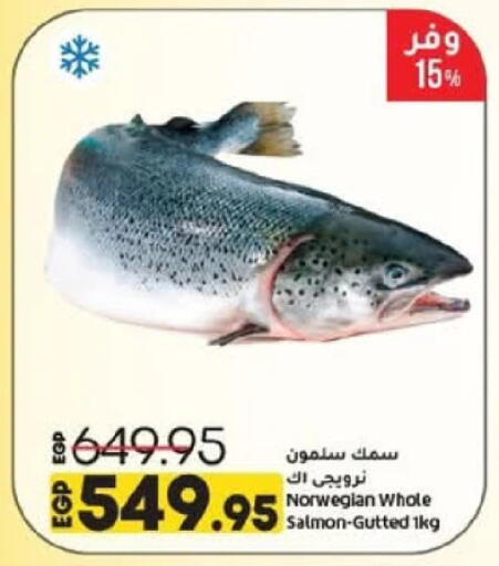 available at لولو هايبرماركت in Egypt - القاهرة