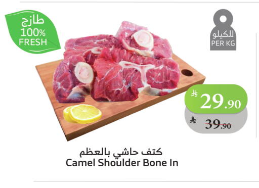 لحم حاشي available at الراية in مملكة العربية السعودية, السعودية, سعودية - جدة