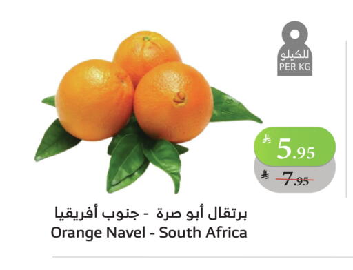 برتقال from South Africa available at الراية in مملكة العربية السعودية, السعودية, سعودية - ينبع