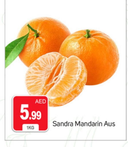 برتقال available at سوق طلال in الإمارات العربية المتحدة , الامارات - دبي