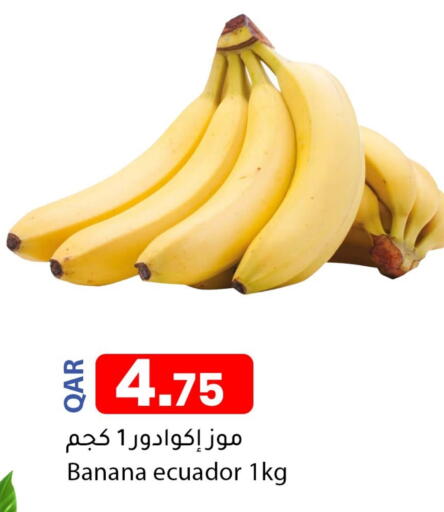 Banana from Ecuador available at Dana Market in Qatar - Doha