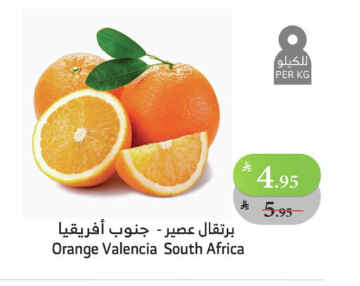 برتقال from South Africa available at الراية in مملكة العربية السعودية, السعودية, سعودية - ينبع