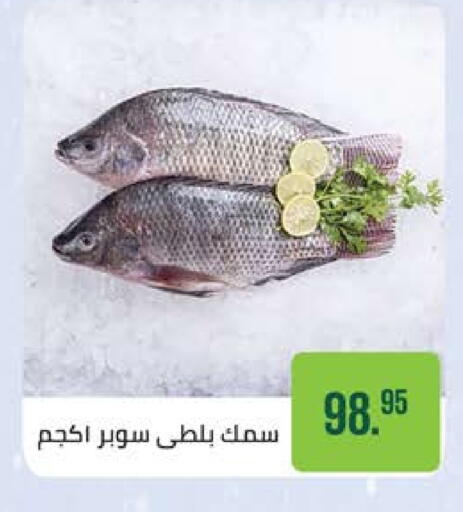 available at Seoudi Supermarket in Egypt - Cairo