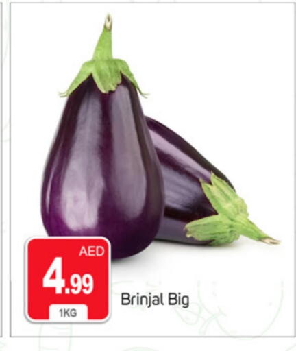 available at سوق طلال in الإمارات العربية المتحدة , الامارات - دبي