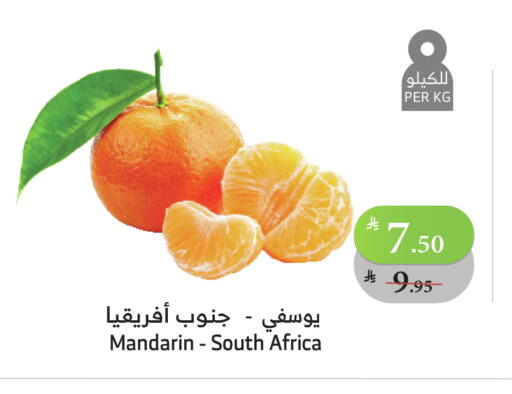 برتقال from South Africa available at الراية in مملكة العربية السعودية, السعودية, سعودية - ينبع