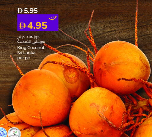 Coconut from Sri Lanka available at لولو هايبرماركت in الإمارات العربية المتحدة , الامارات - دبي
