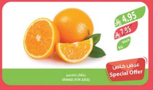 Orange available at Farm  in KSA, Saudi Arabia, Saudi - Al-Kharj