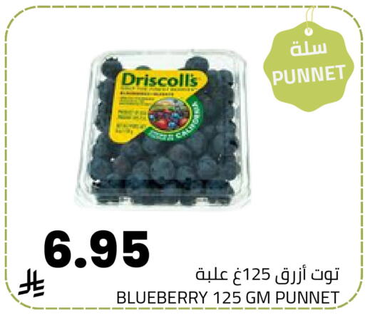 Berries available at Astra Markets in KSA, Saudi Arabia, Saudi - Tabuk