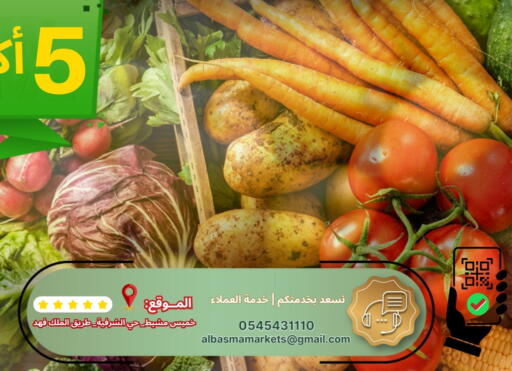 available at Al Basma Al Khalida Markets in KSA, Saudi Arabia, Saudi - Khamis Mushait