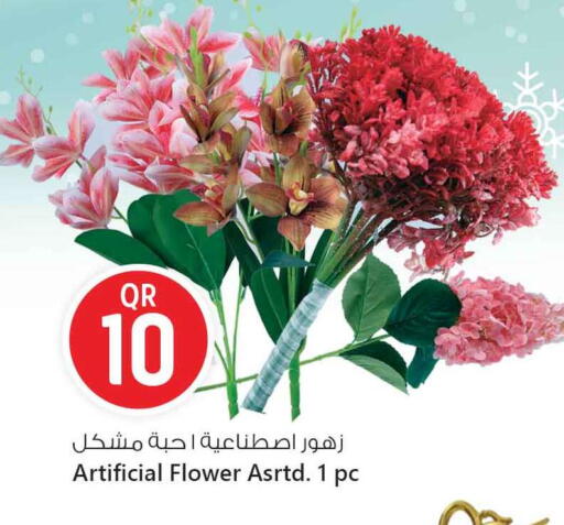 available at سفاري هايبر ماركت in قطر - أم صلال