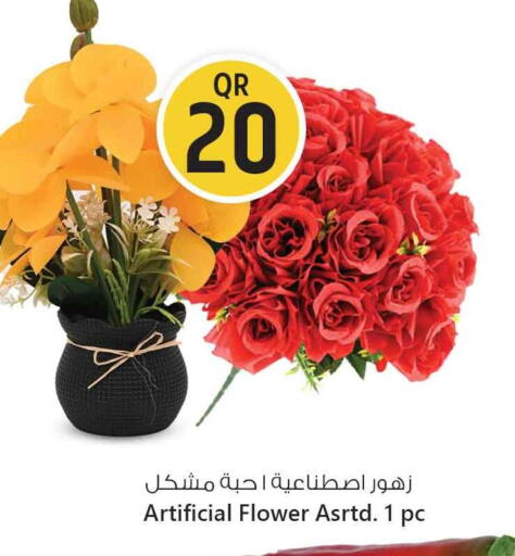 available at سفاري هايبر ماركت in قطر - أم صلال