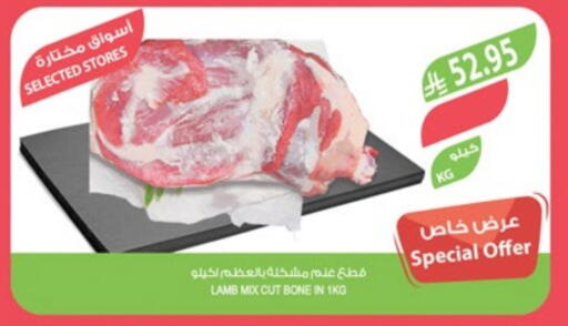 Mutton / Lamb available at Farm  in KSA, Saudi Arabia, Saudi - Al-Kharj