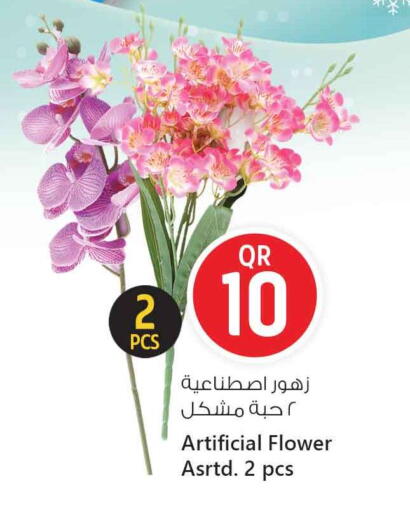 available at سفاري هايبر ماركت in قطر - أم صلال