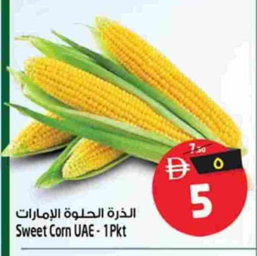 available at سفاري هايبرماركت in الإمارات العربية المتحدة , الامارات - الشارقة / عجمان