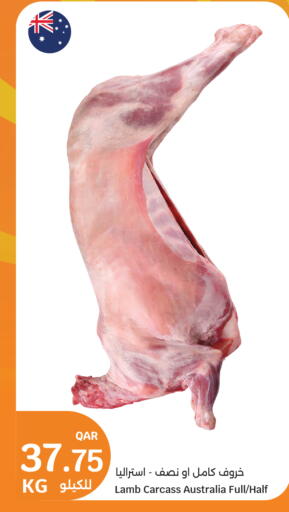 available at City Hypermarket in Qatar - Al-Shahaniya