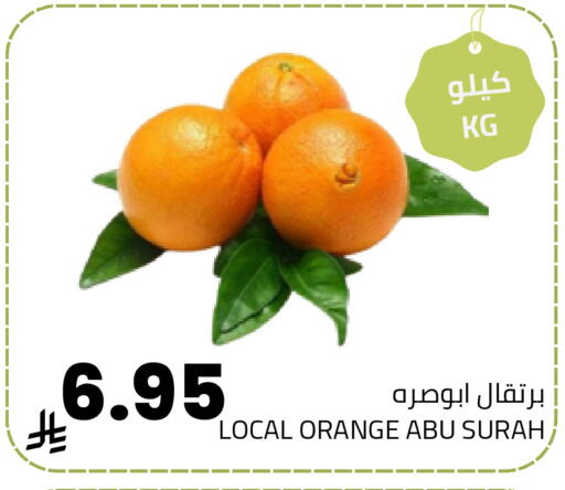 برتقال available at أسواق أسترا in مملكة العربية السعودية, السعودية, سعودية - تبوك