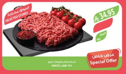 Mutton / Lamb available at Farm  in KSA, Saudi Arabia, Saudi - Al-Kharj