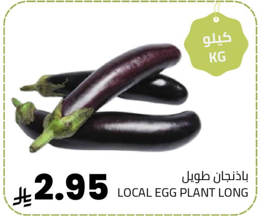 available at Astra Markets in KSA, Saudi Arabia, Saudi - Tabuk