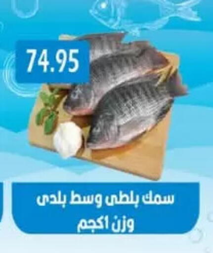 available at يورومارشيه in Egypt - القاهرة