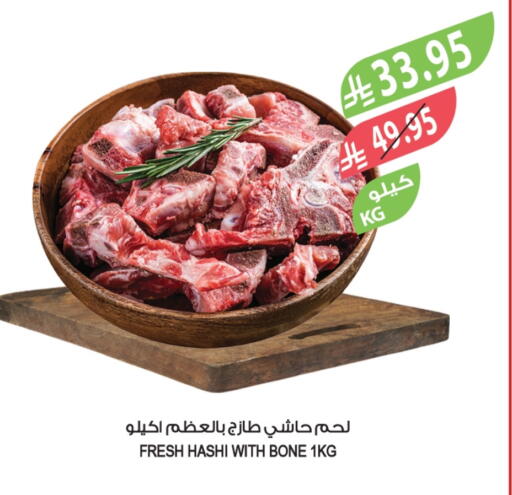 Camel meat available at Farm  in KSA, Saudi Arabia, Saudi - Tabuk