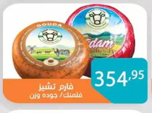 available at صن مول in Egypt - القاهرة