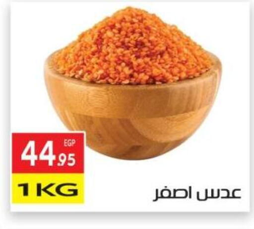 available at المحلاوي ماركت in Egypt - القاهرة