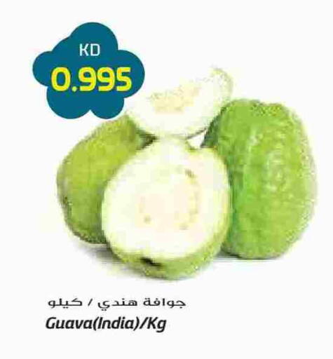 Guava from India available at Grand Costo in Kuwait - Kuwait City