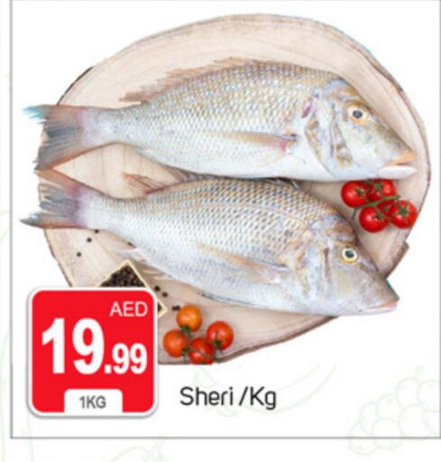 available at سوق طلال in الإمارات العربية المتحدة , الامارات - دبي